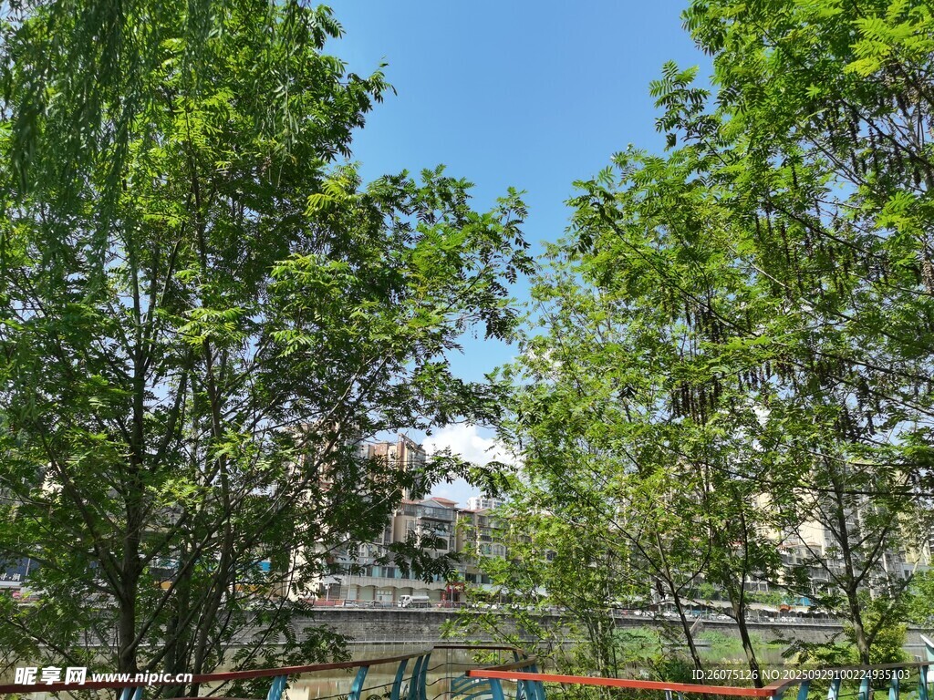 綠樹藍(lán)天間的城市景致