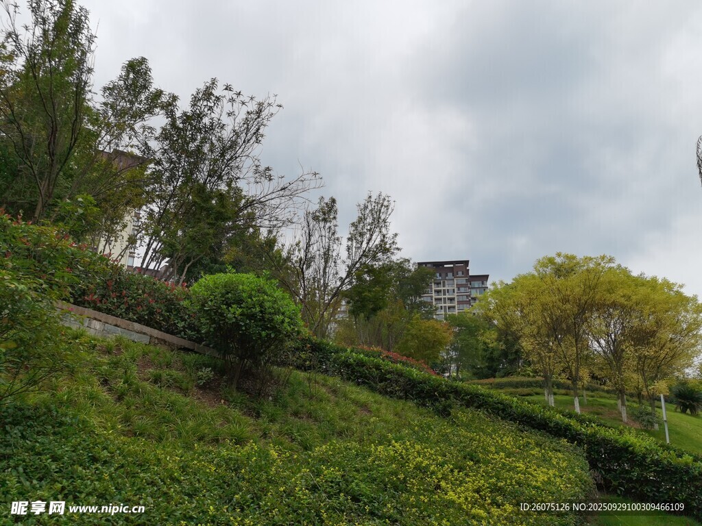 綠意盎然的山坡景致