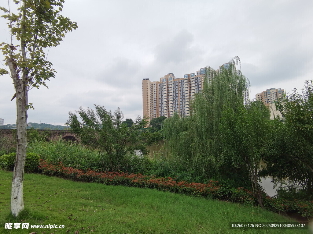 城市綠地旁的高樓與綠樹