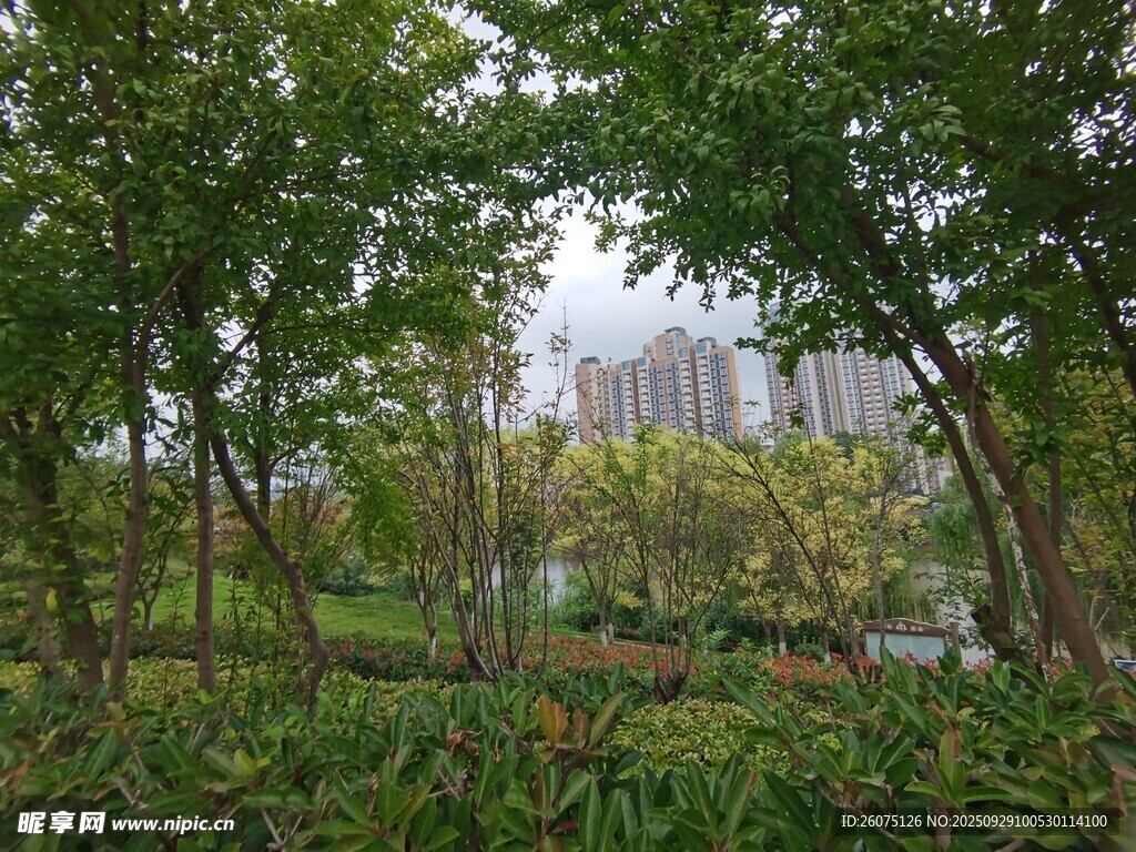 林間景致城市綠意初顯