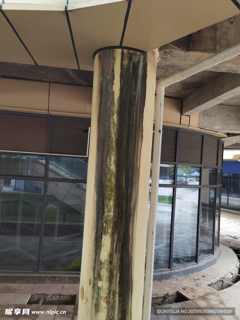 室內(nèi)圓柱建筑結(jié)構(gòu)景觀