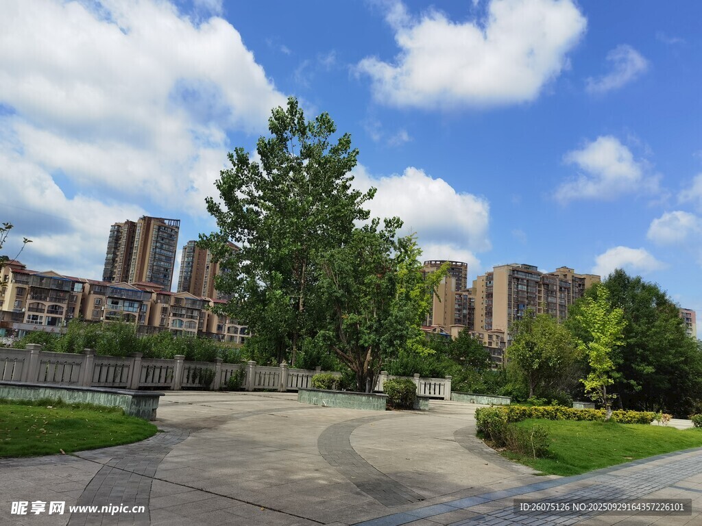 城市中的開闊綠化景觀