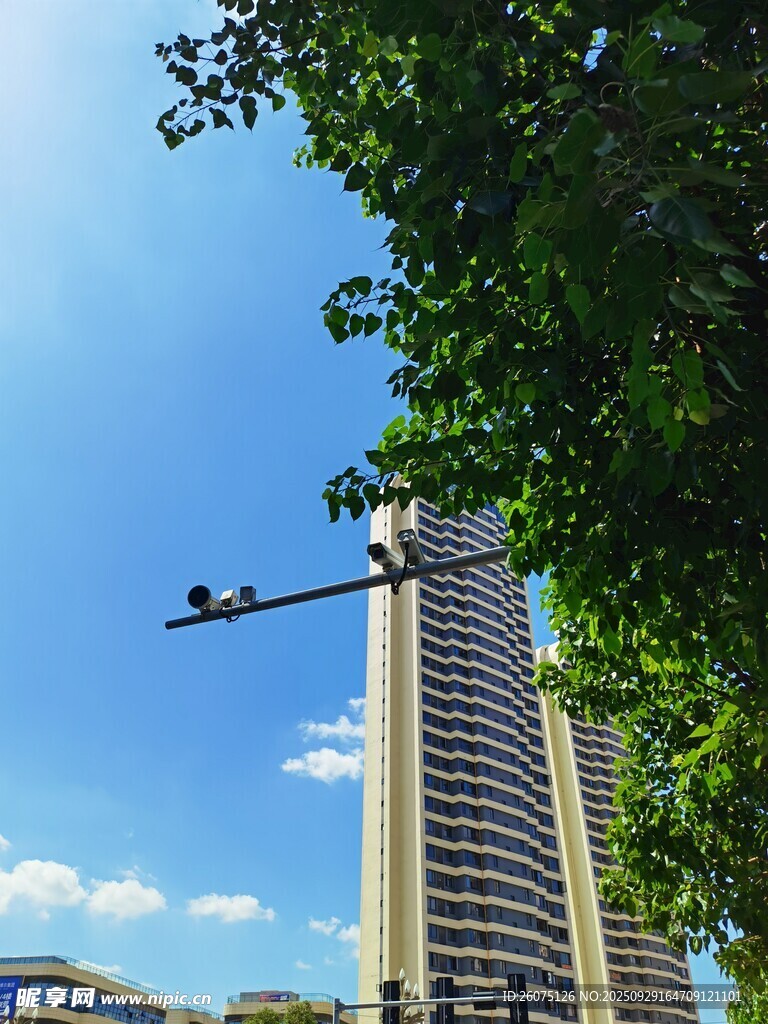 城市高樓與藍天綠樹景觀