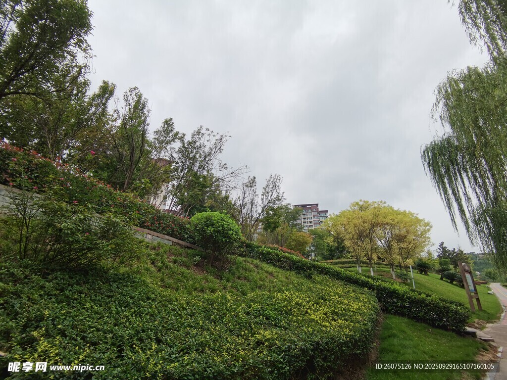 綠意盎然的園林景觀