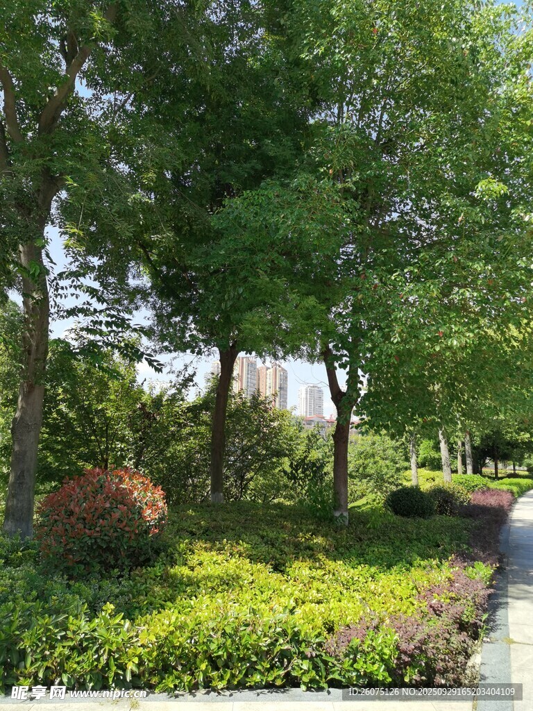 城市中的綠意盎然景觀