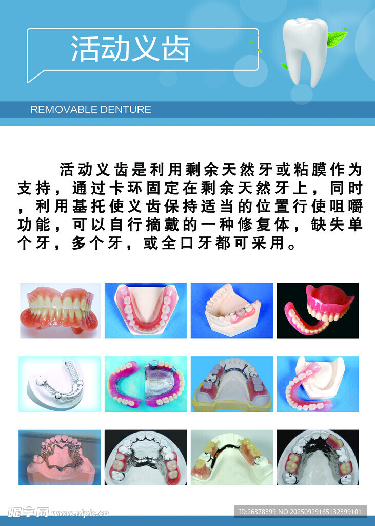 活動義齒產(chǎn)品展示