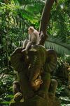 猴子坐于雕塑上