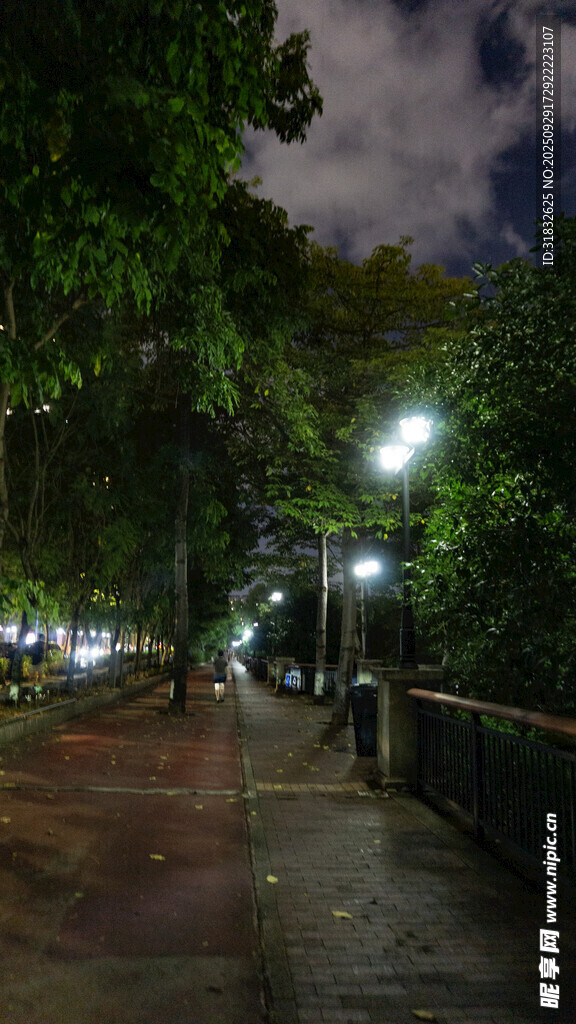 夜晚靜謐的街道燈光風(fēng)景
