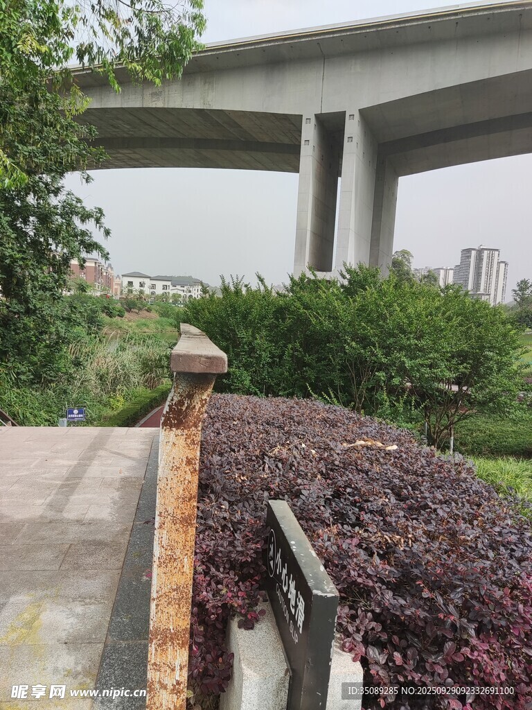 橋下綠植與生銹欄桿景觀