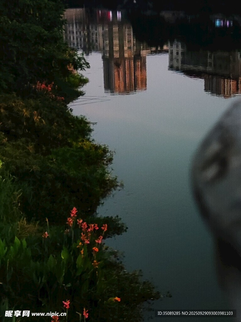 河畔綠植與水中倒影美景