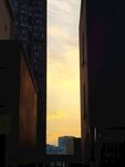 城市黃昏高樓間的天際線