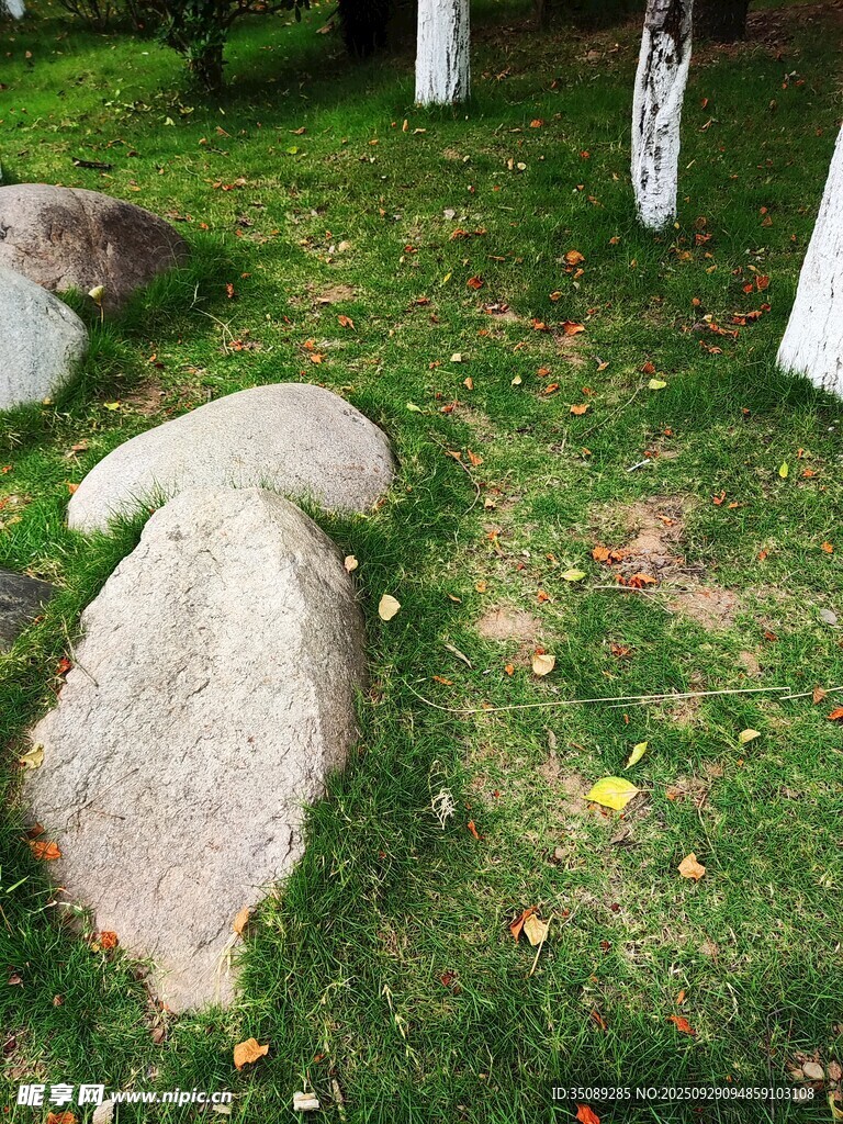 草地上的造型獨特石頭