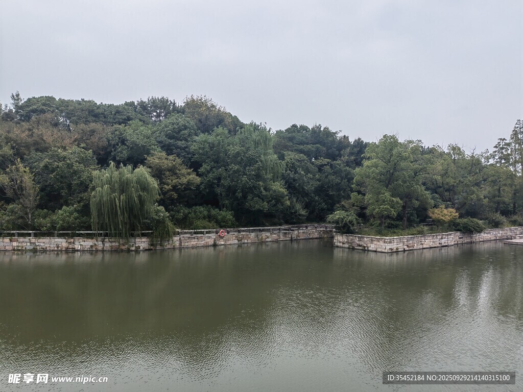 湖畔樹林