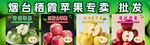 煙臺棲霞蘋果零售批發(fā)