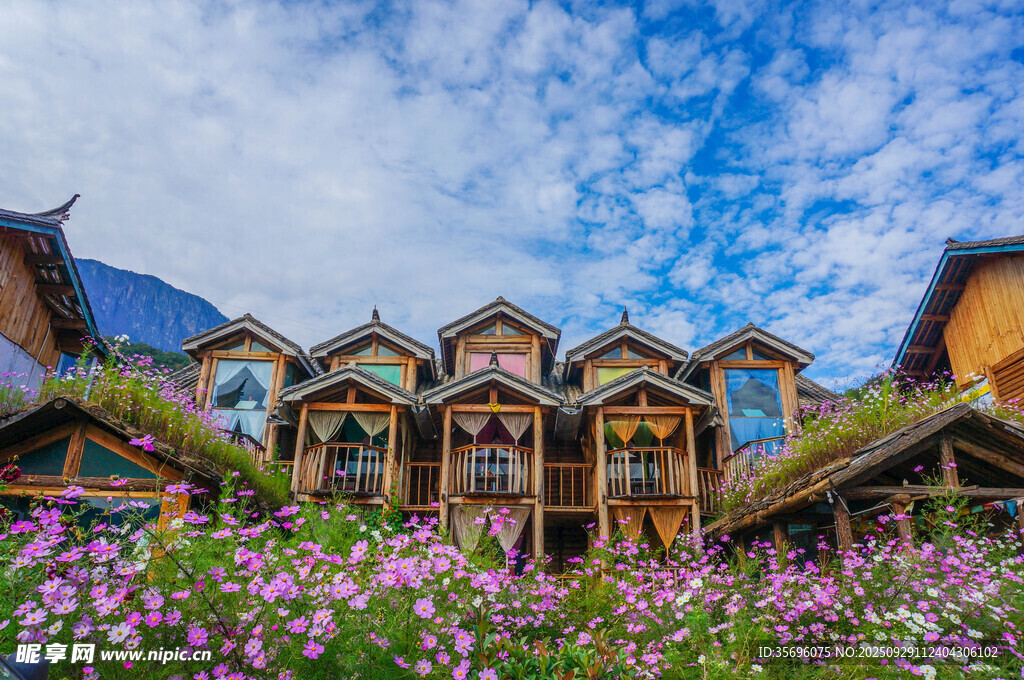 花海中的多彩木屋建筑