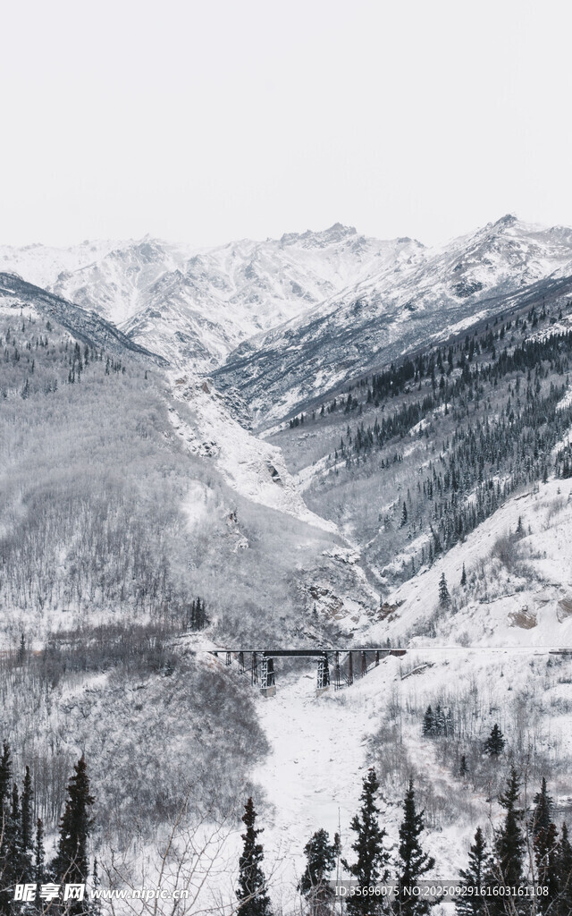 雪山森林河谷壯麗景觀