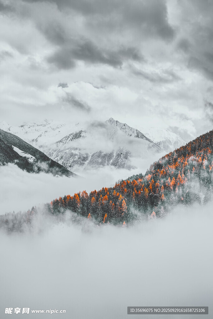 雪山云海中的多彩隊(duì)伍