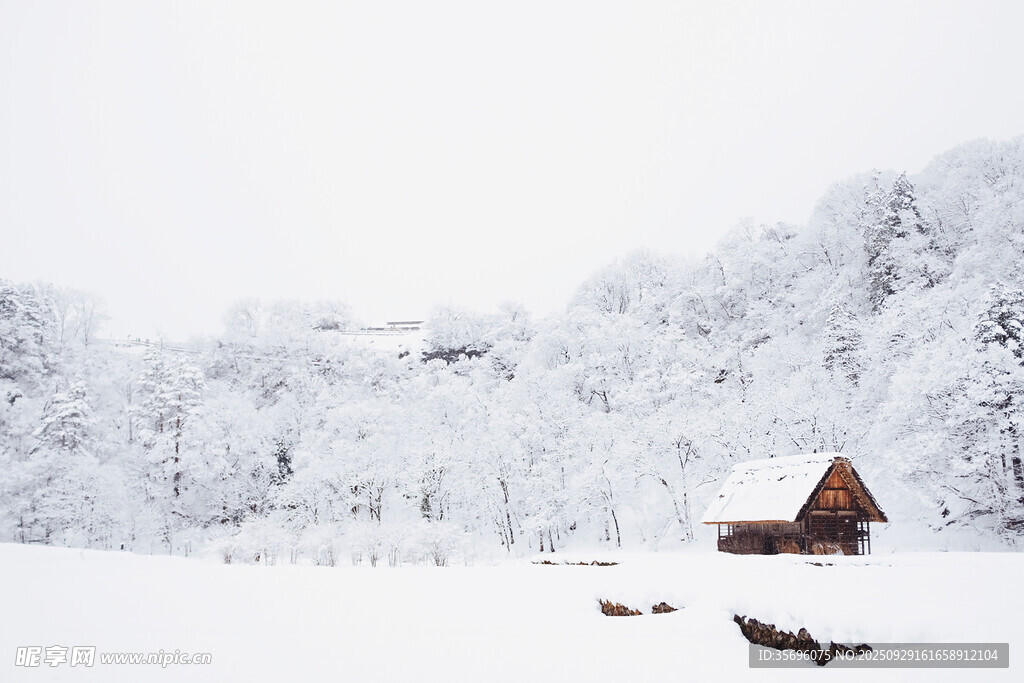 雪覆山林中的小屋