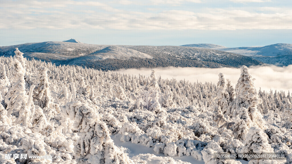 冬日雪覆山林美景