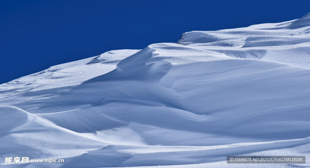雪坡美景