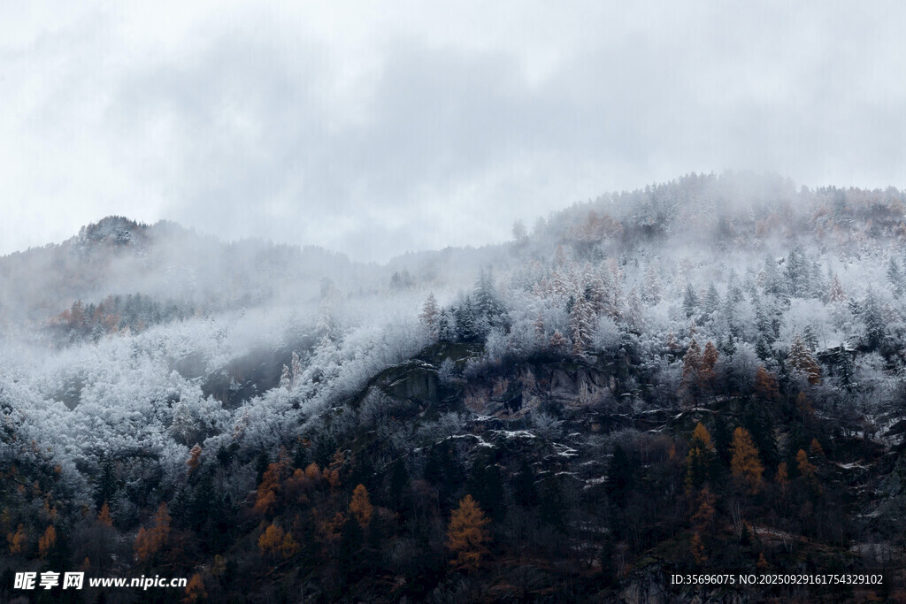 云霧繚繞的雪山秋景