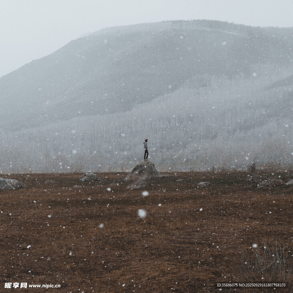 雪覆荒野中的孤獨(dú)身影