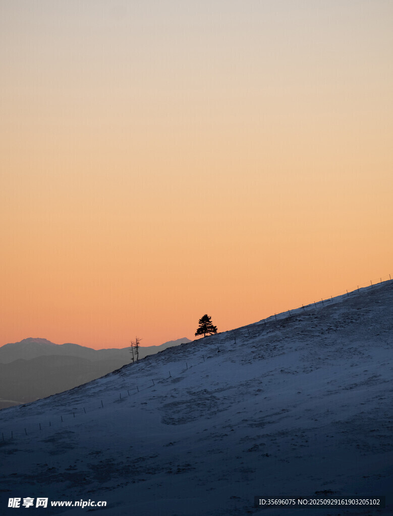 夕陽下的雪坡騎行者