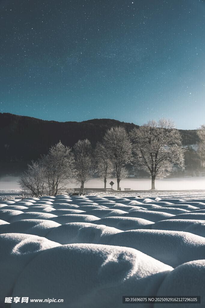 雪夜曠野中的孤寂樹木