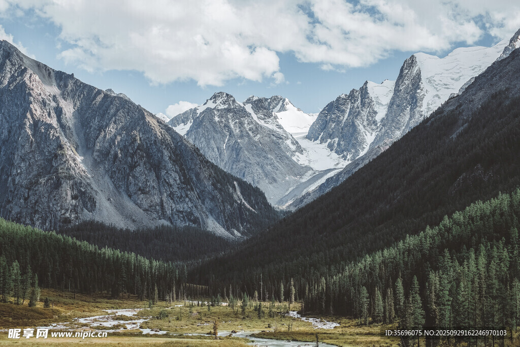 壯麗高山下的蔥郁山谷