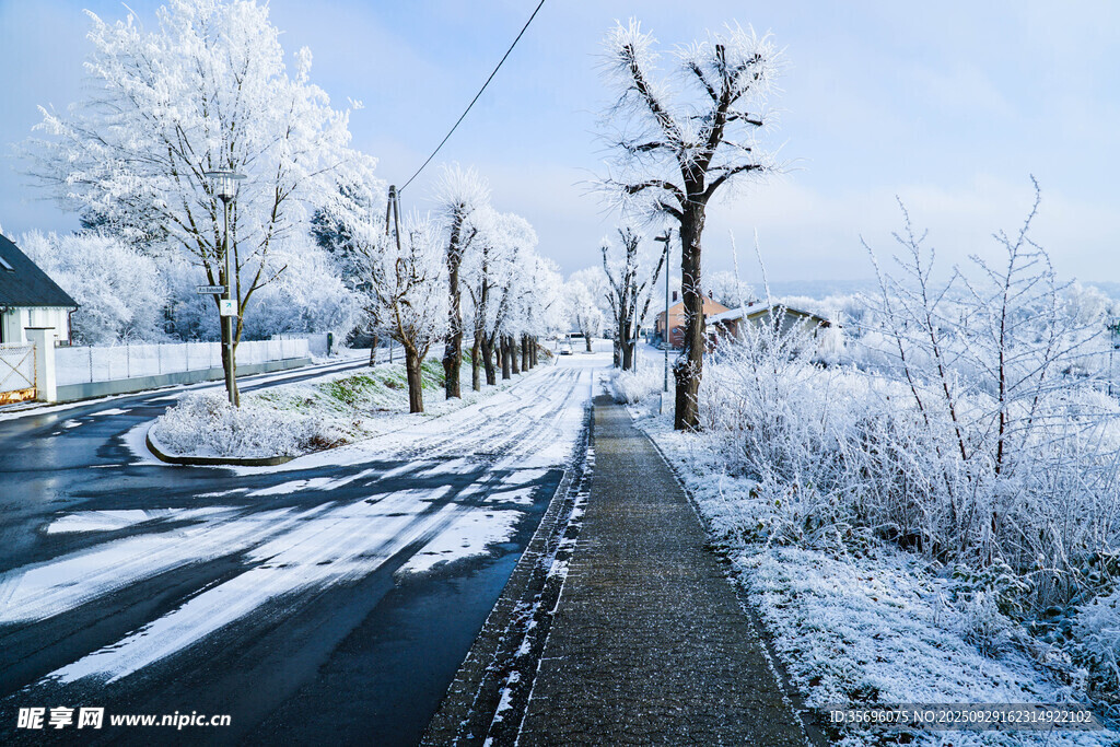 冬日雪景中的寧靜小路