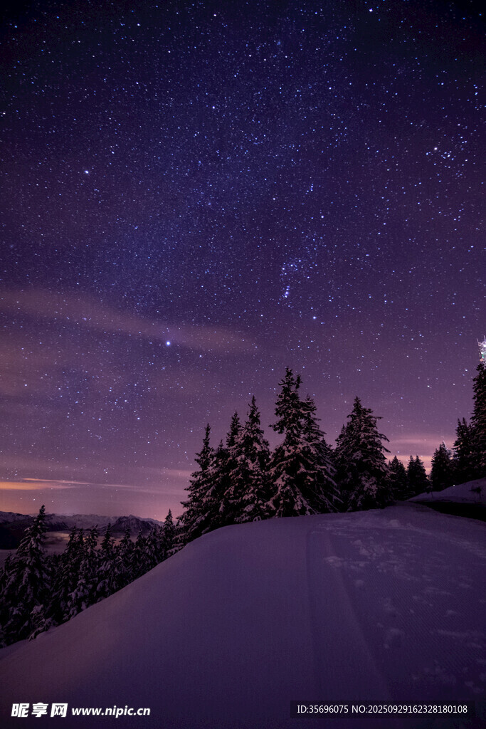 雪夜星空下的靜謐山林