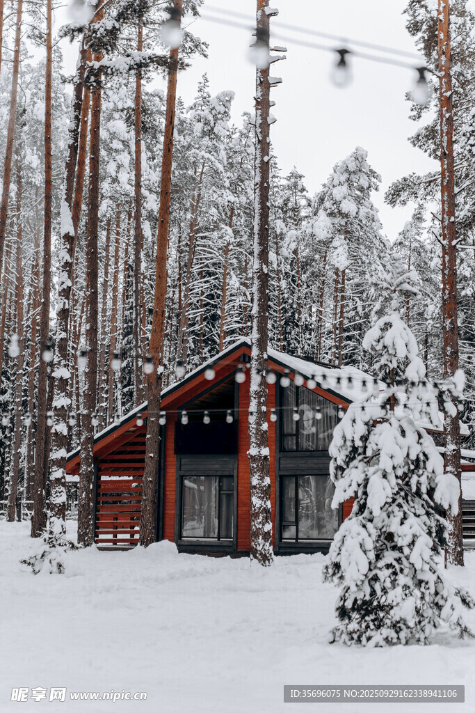 雪林中的溫馨木屋