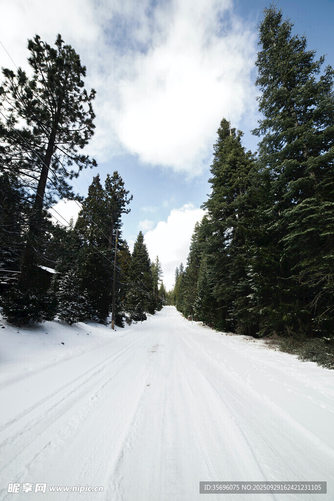 雪覆林間路
