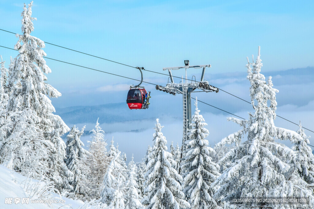 雪林纜車美景