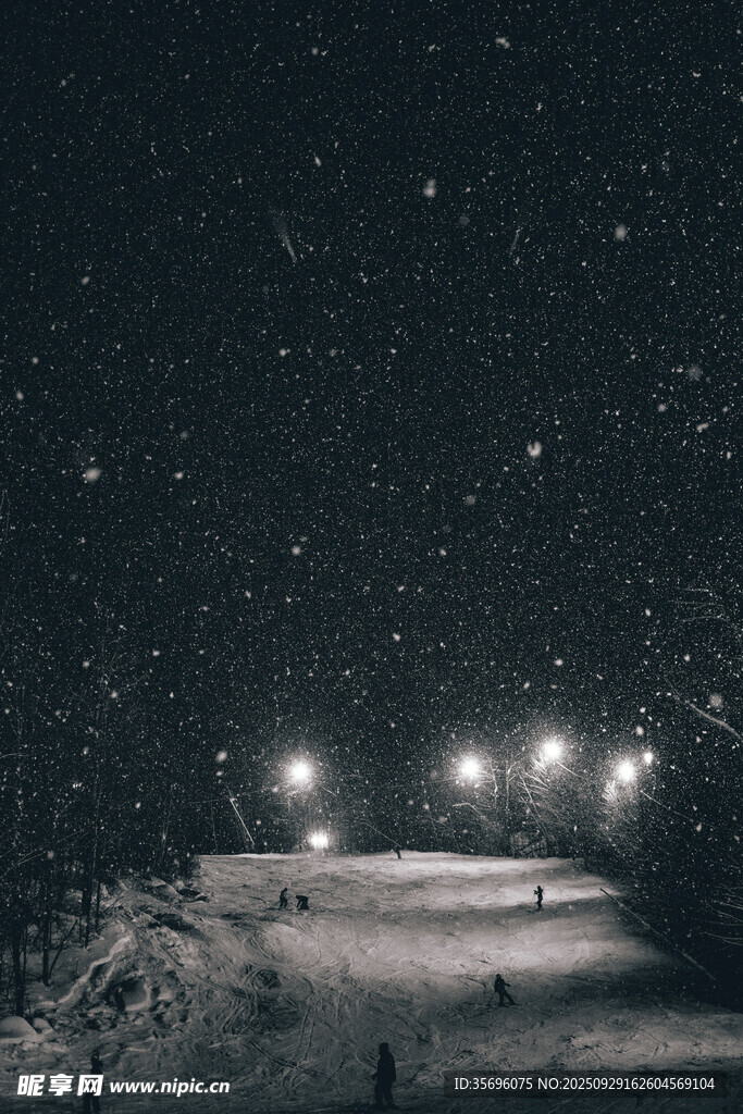 雪夜星空下的靜謐滑雪道