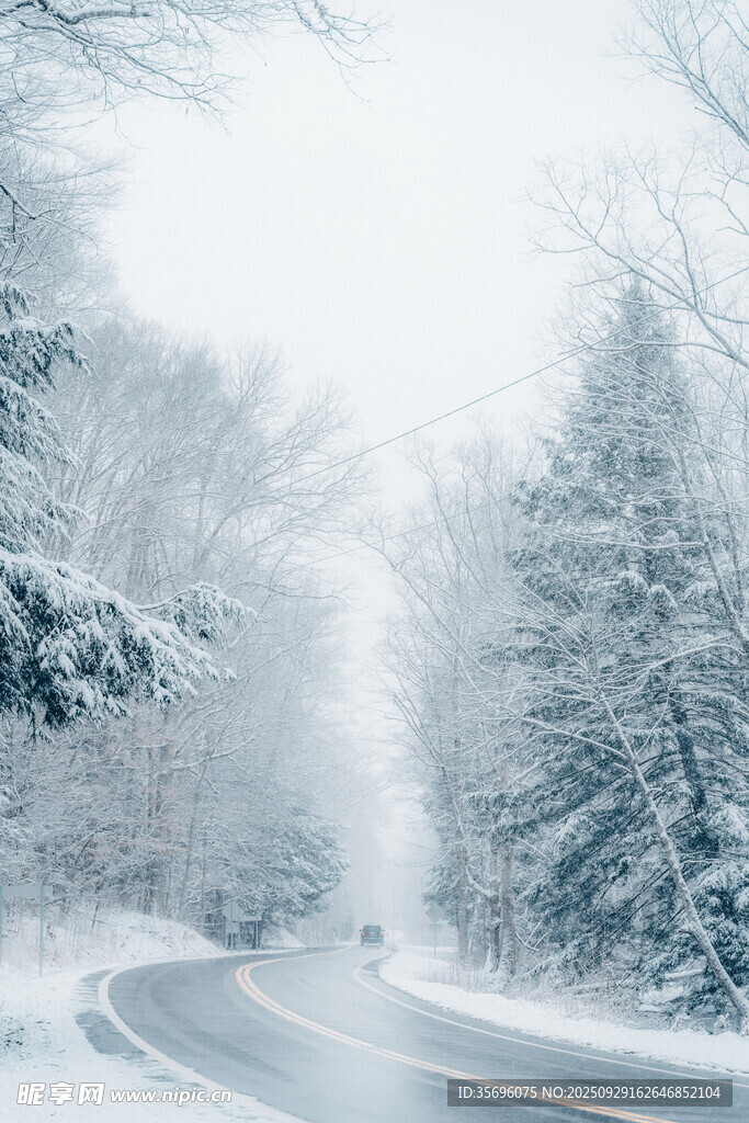 冬日雪覆公路的靜謐景象