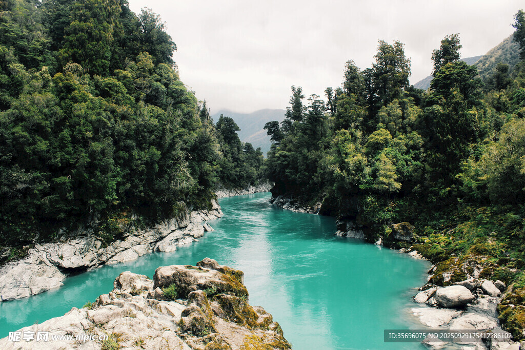 碧綠河水穿林而過的美景