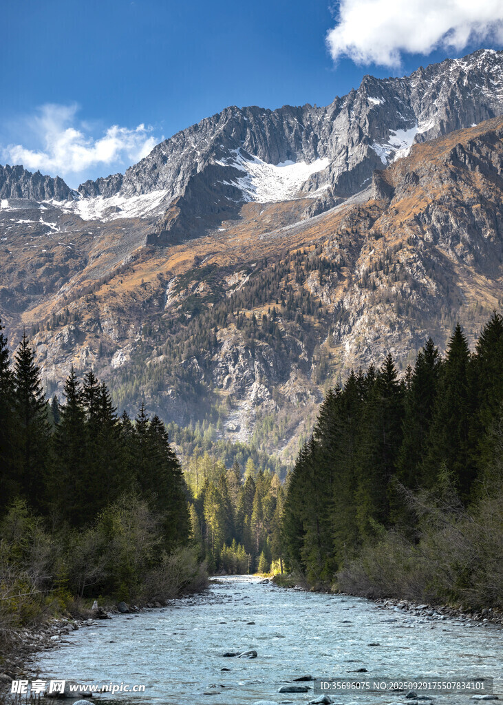 山間河流與蔥郁林木美景
