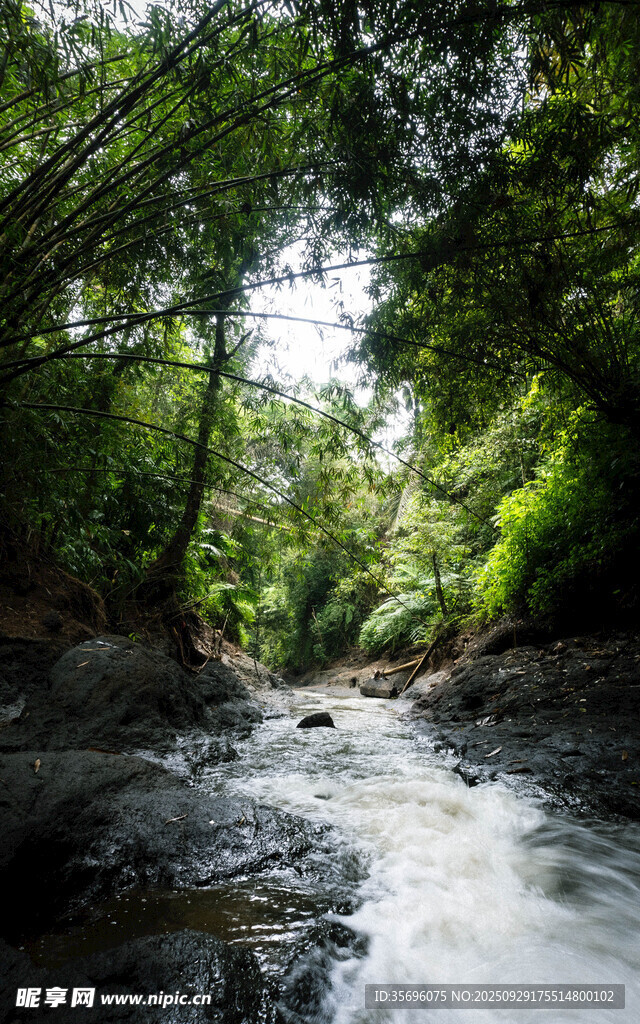 山林間湍急溪流
