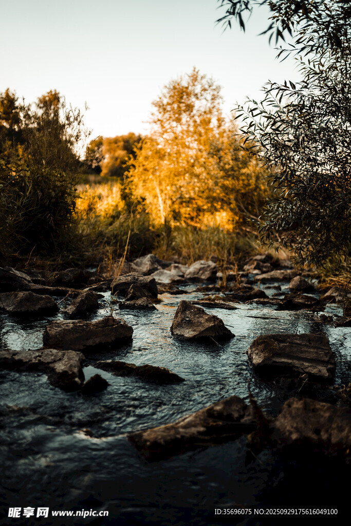 夕陽下的溪邊美景