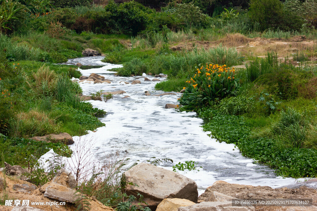 山間溪流蜿蜒于綠植間