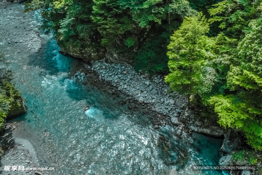 山間清澈溪流與蔥郁植被