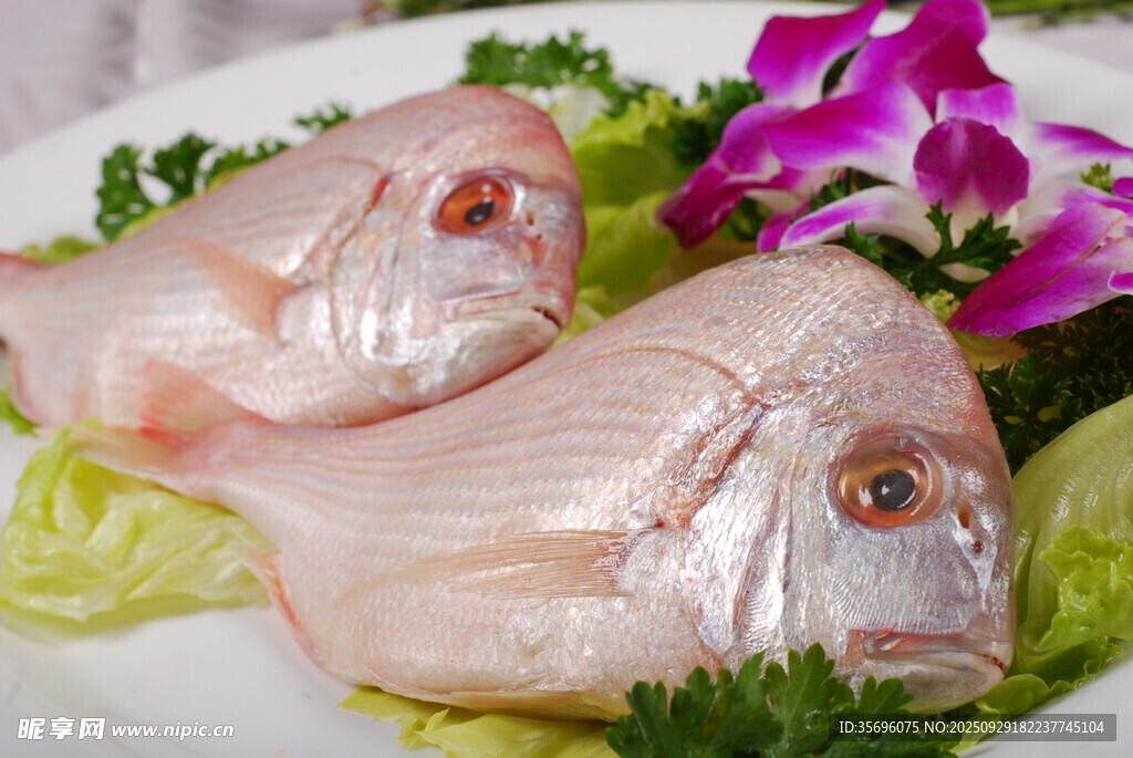 新鮮大眼鯛魚擺盤展示