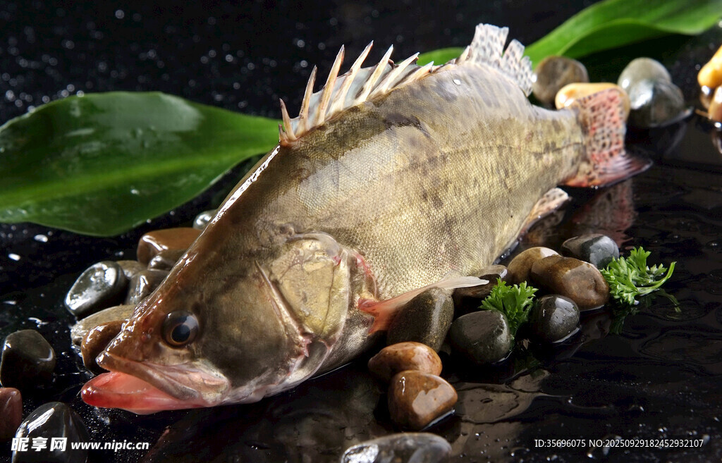 新鮮鱖魚搭配多樣食材