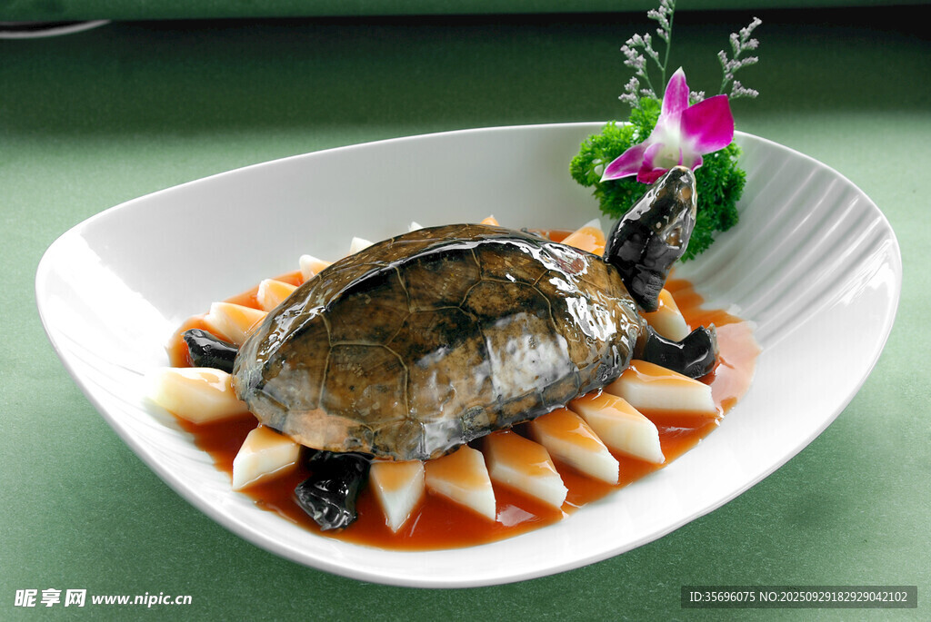 美味甲魚擺盤精致