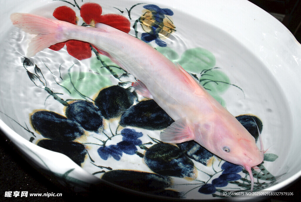  海鮮菜品 