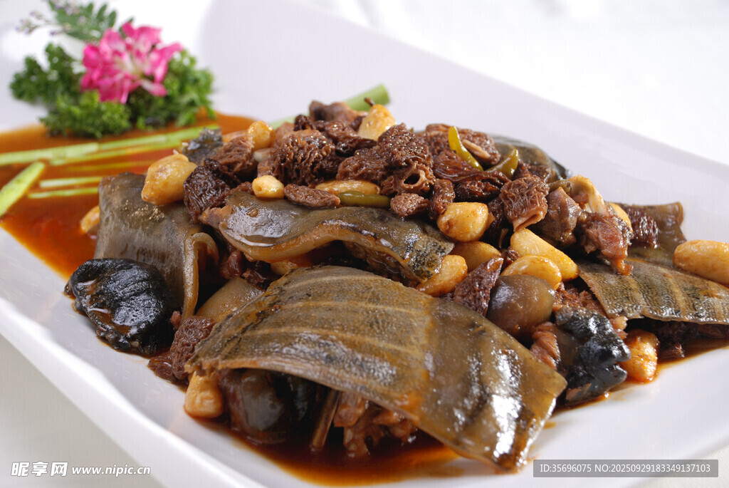美味甲魚菜肴