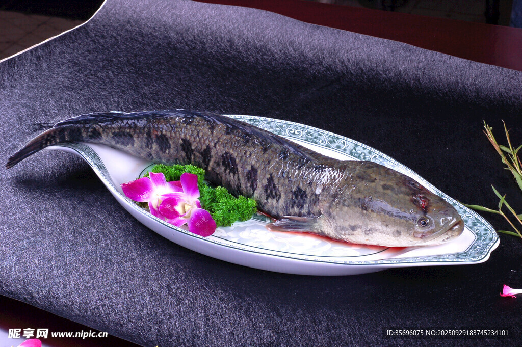 盤中鮮魚飾以嬌艷花朵
