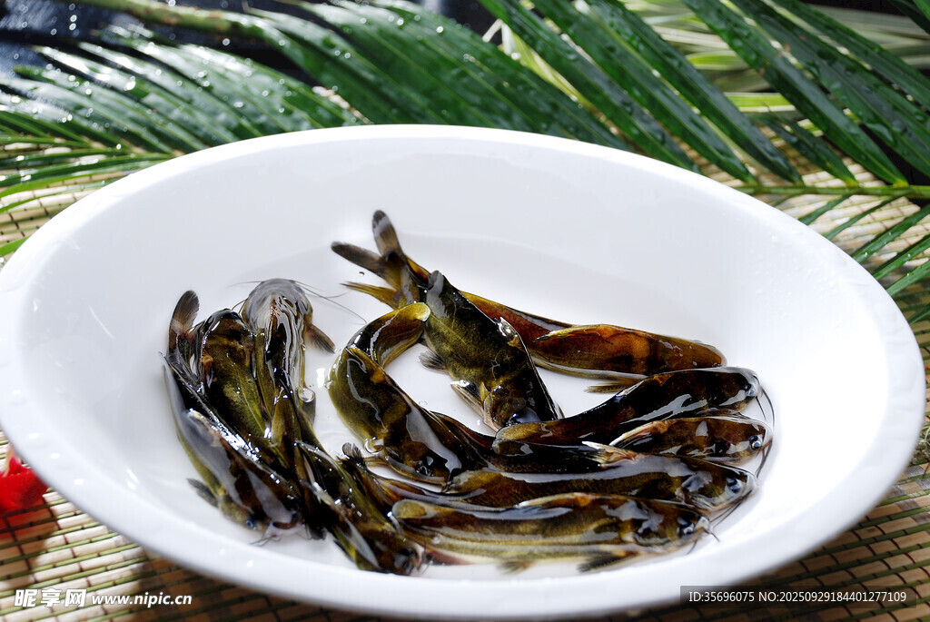 碗中鮮活小魚