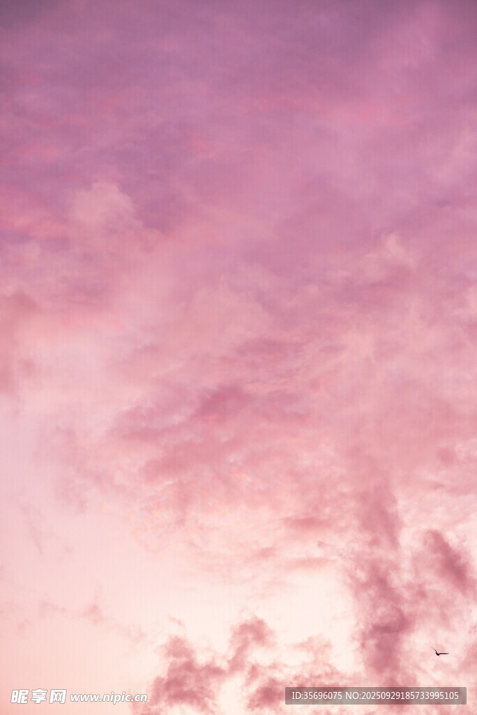 夢幻粉紫色天空美景